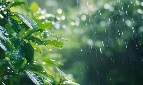 ശക്തമായ മഴയ്ക്കും ഇടിമിന്നലിനും സാധ്യത; ഇന്ന് നാല് ജില്ലകളിൽ ജാഗ്രതാ നിർദേശം ശക്തമായ മഴയ്ക്കും ഇടിമിന്നലിനും സാധ്യത; ഇന്ന് നാല് ജില്ലകളിൽ ജാഗ്രതാ നിർദേശം
