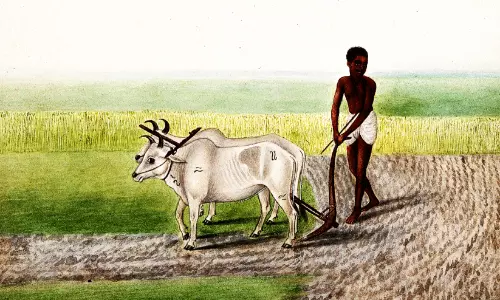 നിങ്ങൾ ഏത് ജാതിക്കാരനാണ് സഹോദരാ?
