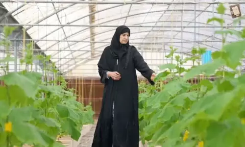 അവാർഡിന്‍റെ നൂറുമേനിയിൽ ഖദീജ അൽ ഖുബൈസി