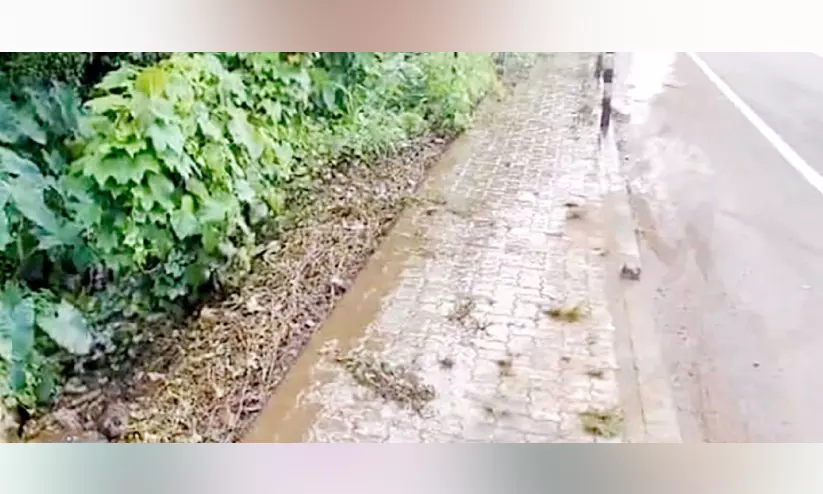 സാമൂഹിക വിരുദ്ധർ റോഡിൽ ശുചിമുറി മാലിന്യം തള്ളി സാമൂഹിക വിരുദ്ധർ റോഡിൽ ശുചിമുറി മാലിന്യം തള്ളി