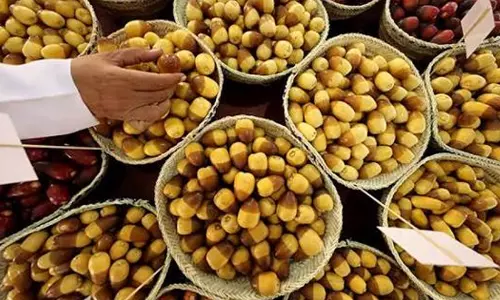 അൽ ദൈദ് ഈത്തപ്പഴ മേള സമാപിച്ചു