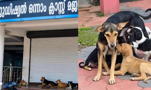 ഷെൽട്ടർ ഹോം നിർമാണം ഇഴയുന്നു; തെരുവുനായ് ശല്യം രൂക്ഷം