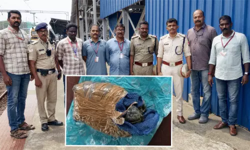 നാലാം പ്ലാറ്റ്ഫോമിൽ ഒരുപൊതി, തുറന്നപ്പോൾ 20 ലക്ഷത്തിന്റെ ഹാഷിഷ് ഓയിൽ!; എറണാകുളത്ത് വൻ ലഹരി വേട്ട നാലാം പ്ലാറ്റ്ഫോമിൽ ഒരുപൊതി, തുറന്നപ്പോൾ 20 ലക്ഷത്തിന്റെ ഹാഷിഷ് ഓയിൽ!; എറണാകുളത്ത് വൻ ലഹരി വേട്ട