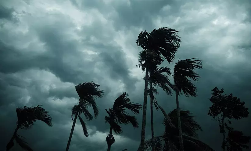 മൺസൂൺ മഴയിൽ 12.6 ശതമാനം കുറവ്; രാജ്യത്ത് കൃഷിയും കുടിവെള്ള വിതരണവും പ്രതിസന്ധിയിൽ മൺസൂൺ മഴയിൽ 12.6 ശതമാനം കുറവ്; രാജ്യത്ത് കൃഷിയും കുടിവെള്ള വിതരണവും പ്രതിസന്ധിയിൽ