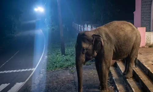 https://www.madhyamam.com/tags/athirappalli https://www.madhyamam.com/tags/athirappalli