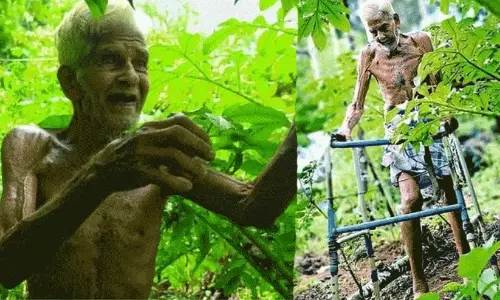 കൃഷി നോക്കുന്നത് വാക്കറിന്റെ സഹായത്തോടെ, നൂറ് കടന്നിട്ടും അധ്വാനിച്ച് നാരായണൻ നായർ