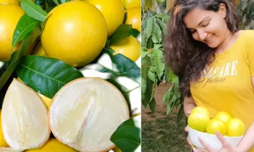 കരിക്കിന്റെ സ്വാദ്, ജെല്ലി പോലെയുള്ള കാമ്പ്; കടൽ കടന്നെത്തിയ ‘അബിയു’ പൊളിയാണ്