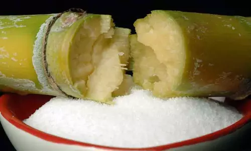 Sugarcane crops and sugar cubes representing the government ban on using sugarcane for ethanol production Sugarcane crops and sugar cubes representing the government ban on using sugarcane for ethanol production
