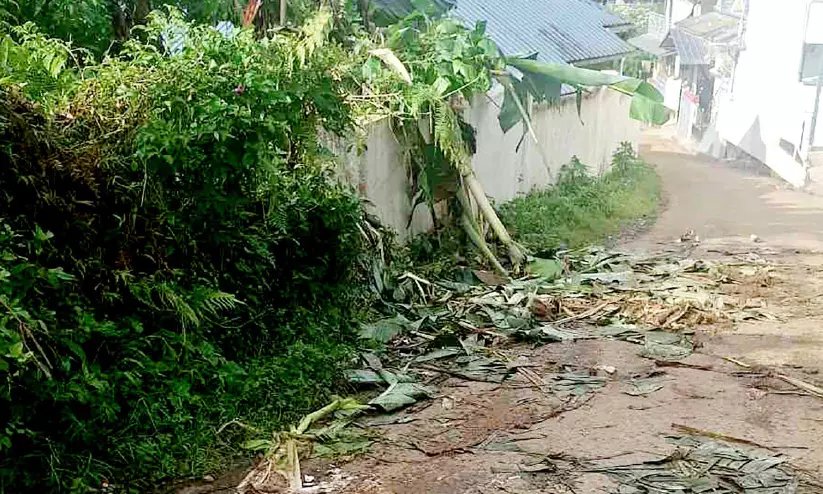 കാടിറങ്ങുന്ന ഭീതി... ദേവികുളം താലൂക്കിന്റെ വിവിധ പ്രദേശങ്ങളിൽ വന്യമൃഗ ശല്യം രൂക്ഷം കാടിറങ്ങുന്ന ഭീതി... ദേവികുളം താലൂക്കിന്റെ വിവിധ പ്രദേശങ്ങളിൽ വന്യമൃഗ ശല്യം രൂക്ഷം