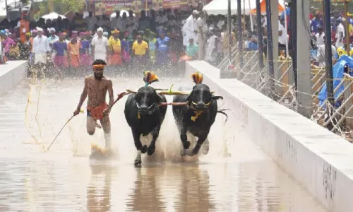 മൈസൂരു ദസറയിൽ കമ്പള അരങ്ങേറി; ആകാശക്കാഴ്ചകൾ നിർത്തിവെച്ചു