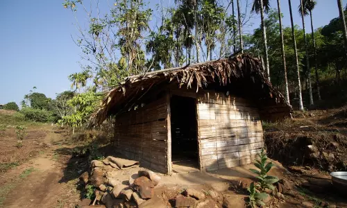 സംസ്ഥാനത്ത് ഭൂമിയില്ലാതെ 5556 ആദിവാസി കുടുംബങ്ങൾ സംസ്ഥാനത്ത് ഭൂമിയില്ലാതെ 5556 ആദിവാസി കുടുംബങ്ങൾ