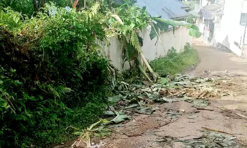 കാ​ടി​റ​ങ്ങു​ന്ന ഭീ​തി... ദേ​വി​കു​ളം താ​ലൂ​ക്കി​ന്‍റെ വി​വി​ധ പ്ര​ദേ​ശ​ങ്ങ​ളി​ൽ വ​ന്യ​മൃ​ഗ ശ​ല്യം രൂ​ക്ഷം