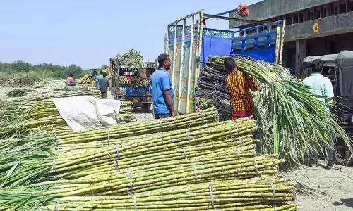 https://www.madhyamam.com/tags/sugar-production
