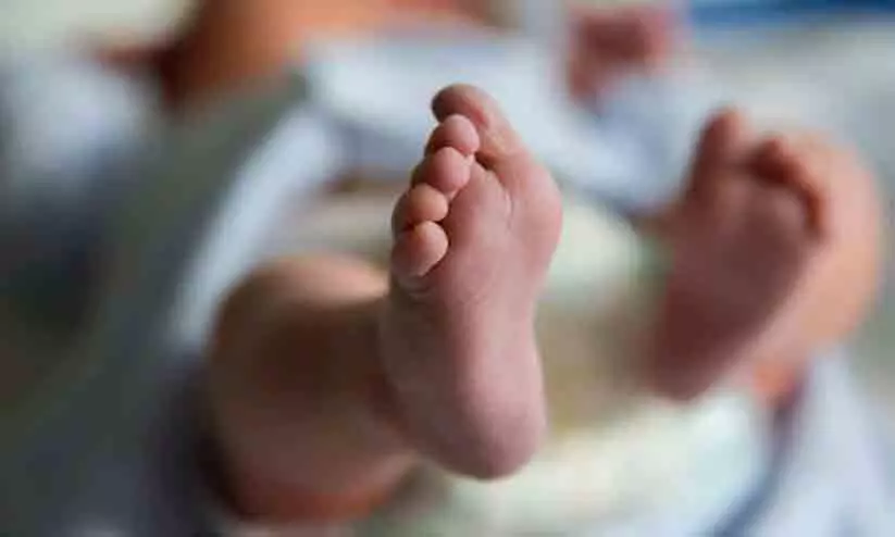 https://www.madhyamam.com/tags/child-murder https://www.madhyamam.com/tags/child-murder