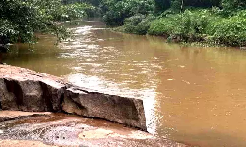 പൂനൂർ പുഴയിൽ മാലിന്യം തള്ളൽ പതിവാകുന്നു