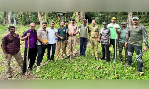 വന്യമൃഗങ്ങളെ കാട്ടിലേക്ക് തുരത്തൽ; വനം വകുപ്പിന്‍റെ മൂന്നാംഘട്ട തീവ്രയത്നത്തിന് തുടക്കം