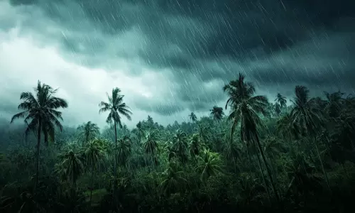 ബംഗാൾ ഉൾക്കടലിൽ ന്യൂനമർദ്ദ സാധ്യത; കേരളത്തിൽ ഇടിയോടുകൂടിയ ശക്തമായ മഴ തുടരും