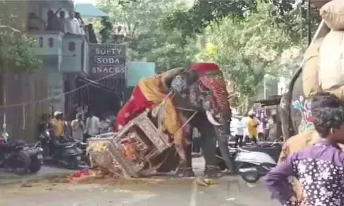 ദസറയ്ക്കിടെ അടിതെറ്റി വീണ ആന വിരണ്ടോടി; പരിഭ്രാന്തരായി ജനം
