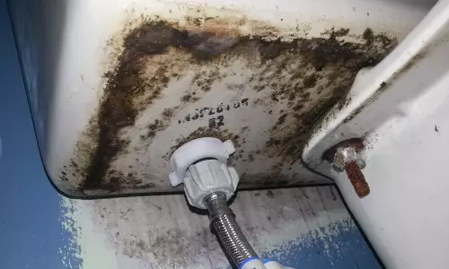 ബാത്ത്റൂമിലെ ഈർപ്പവും പൂപ്പലും ഒഴിവാക്കാം; ചെറിയ മാറ്റങ്ങൾ വലിയ വ്യത്യാസമാകും