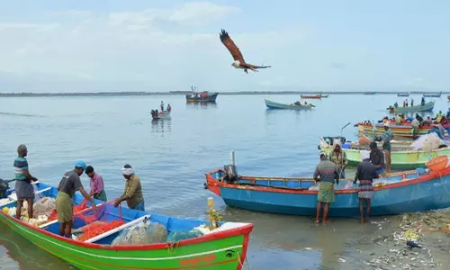 പെൻഷൻ: ഡി.ബി.ടി പരിഷ്കാരത്തിൽ വഴിമുട്ടി മത്സ്യത്തൊഴിലാളികൾ