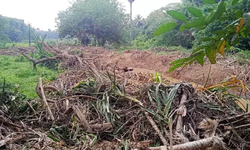 തോട് നവീകരണം കർഷകർക്ക് ഇരുട്ടടിയായെന്ന് പരാതി തോട് നവീകരണം കർഷകർക്ക് ഇരുട്ടടിയായെന്ന് പരാതി