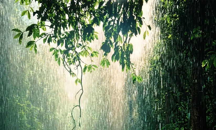 മഴ ശക്തമാകുന്നു, കള്ളക്കടൽ ഭീഷണി; തെക്കൻ-മധ്യ കേരളത്തിൽ ഓറഞ്ച് അലർട്ട്, ഉയർന്ന തിരമാലക്ക് സാധ്യത, ജാഗ്രതാ നിർദേശം മഴ ശക്തമാകുന്നു, കള്ളക്കടൽ ഭീഷണി; തെക്കൻ-മധ്യ കേരളത്തിൽ ഓറഞ്ച് അലർട്ട്, ഉയർന്ന തിരമാലക്ക് സാധ്യത, ജാഗ്രതാ നിർദേശം