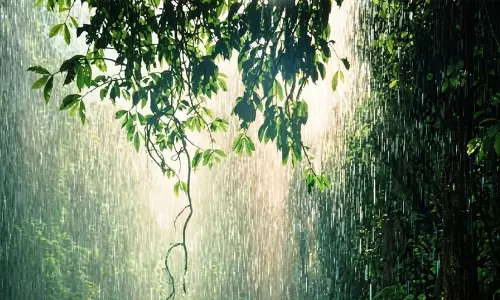 മഴ ശക്തമാകുന്നു, കള്ളക്കടൽ ഭീഷണി; തെക്കൻ-മധ്യ കേരളത്തിൽ ഓറഞ്ച് അലർട്ട്, ഉയർന്ന തിരമാലക്ക് സാധ്യത, ജാഗ്രതാ നിർദേശം