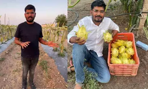 60 ഏക്കർ ഭൂമി, കാർഷിക വിഷയത്തിൽ പി.ജി; ഡ്രാഗൺ ഫ്രൂട്ട് കൃഷിയിലൂടെ മാത്രം യുവ എൻജിനീയർ നേടുന്നത് പ്രതിവർഷം രണ്ട് കോടി!