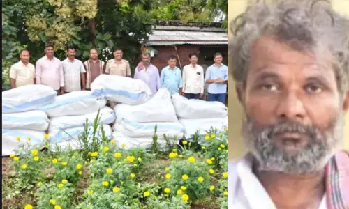 പെട്ടെന്ന് പണമുണ്ടാക്കാൻ തുവര കൃഷിക്കിടയിൽ കഞ്ചാവ്; കർഷകൻ അറസ്റ്റിൽ, പിടിച്ചെടുത്തത് കോടിയിലേറെ രൂപയുടെ കഞ്ചാവ് പെട്ടെന്ന് പണമുണ്ടാക്കാൻ തുവര കൃഷിക്കിടയിൽ കഞ്ചാവ്; കർഷകൻ അറസ്റ്റിൽ, പിടിച്ചെടുത്തത് കോടിയിലേറെ രൂപയുടെ കഞ്ചാവ്