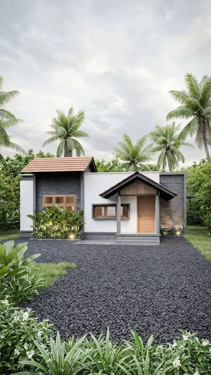 ചെറിയ പ്ലോട്ടിലെ മനോഹരമായ വീട് ചെറിയ പ്ലോട്ടിലെ മനോഹരമായ വീട്