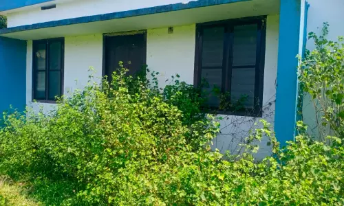 പുനരധിവാസത്തിനായി നിർമിച്ച വീടുകൾ താമസക്കാരില്ലാതെ നശിക്കുന്നു