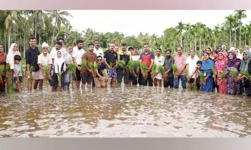 ജനകീയോത്സവമായി ‘ചിറക്-ഹരിതായനം’ ഞാറ് നടീല്‍