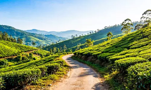 മഴ മുന്നറിയിപ്പിൽ ആശങ്ക, പക്ഷേ വയനാട്ടിൽ മഴയില്ല; വെയിൽ മാത്രം മഴ മുന്നറിയിപ്പിൽ ആശങ്ക, പക്ഷേ വയനാട്ടിൽ മഴയില്ല; വെയിൽ മാത്രം