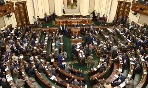 Egypt Parliament