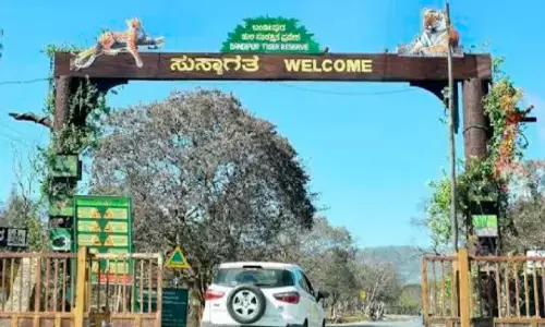ബന്ദിപ്പൂർ രാത്രി യാത്രാനിരോധനം; ഇനി കേരള-കർണാടക സർക്കാറുകളുടെ   സംയുക്​ത ഇടപെടൽ
