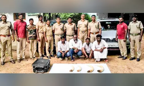 ക​മ്പ​ത്ത് ആ​ന​ക്കൊ​മ്പു​ക​ളു​മാ​യി നാ​ലു​പേ​ർ അ​റ​സ്റ്റി​ൽ