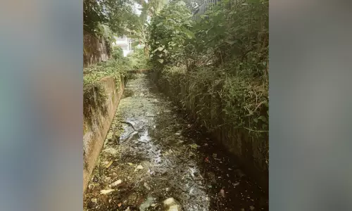 അശാസ്ത്രീയമായി നിർമിച്ച കനാൽ അപകട ഭീഷണി അശാസ്ത്രീയമായി നിർമിച്ച കനാൽ അപകട ഭീഷണി