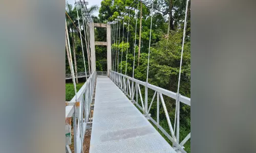 മൂവാറ്റുപുഴ തൂക്കുപാലം യാഥാർഥ്യമായി; ഉദ്ഘാടനം ഡിസംബറിൽ