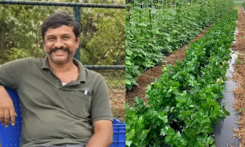 ഓൺലൈനിലൂടെ പുതിയ രീതികൾ പഠിച്ചു; കൃഷി ചെയ്യുന്നത് വിദേശയിനങ്ങൾ, ഈ കർഷകൻ നേടുന്നത് ലക്ഷങ്ങളുടെ വരുമാനം ഓൺലൈനിലൂടെ പുതിയ രീതികൾ പഠിച്ചു; കൃഷി ചെയ്യുന്നത് വിദേശയിനങ്ങൾ, ഈ കർഷകൻ നേടുന്നത് ലക്ഷങ്ങളുടെ വരുമാനം