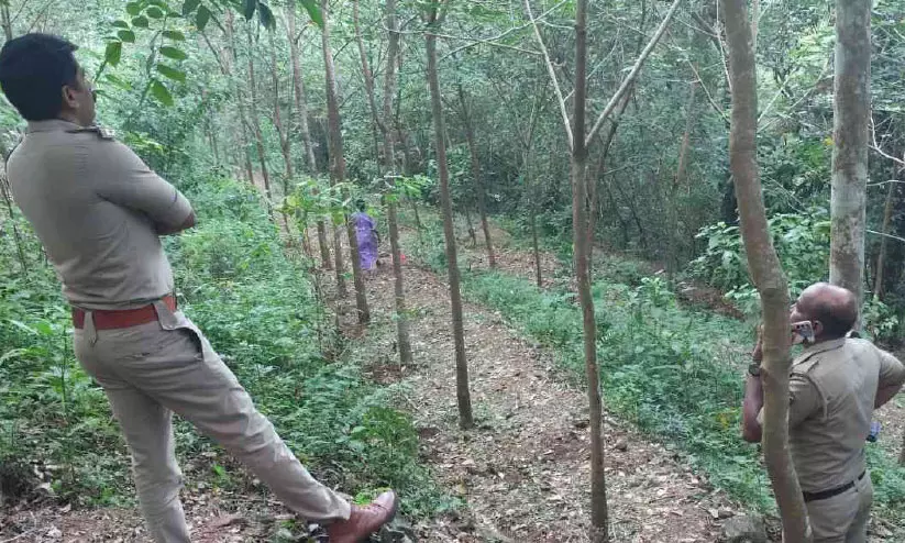 മലയോരത്ത് പന്നിക്കെണി ഭീഷണി; ഒരാൾക്ക് വെടിയേറ്റു മലയോരത്ത് പന്നിക്കെണി ഭീഷണി; ഒരാൾക്ക് വെടിയേറ്റു