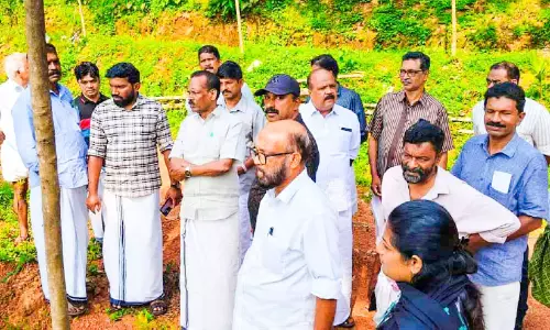 കൂരാച്ചുണ്ടിൽ കാട്ടാനശല്യം രൂക്ഷം കൂരാച്ചുണ്ടിൽ കാട്ടാനശല്യം രൂക്ഷം