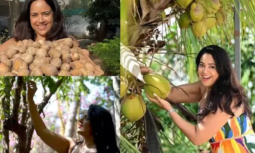 sameera reddy sameera reddy