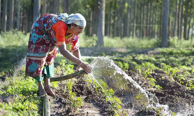 വനിത കര്ഷകര്ക്ക് സ്വന്തം സംരംഭം തുടങ്ങാം; ‘കൃഷി സഖി’ പദ്ധതിയുടെ പ്രാരംഭ നടപടികള്ക്ക് തുടക്കം വനിത കര്ഷകര്ക്ക് സ്വന്തം സംരംഭം തുടങ്ങാം; ‘കൃഷി സഖി’ പദ്ധതിയുടെ പ്രാരംഭ നടപടികള്ക്ക് തുടക്കം