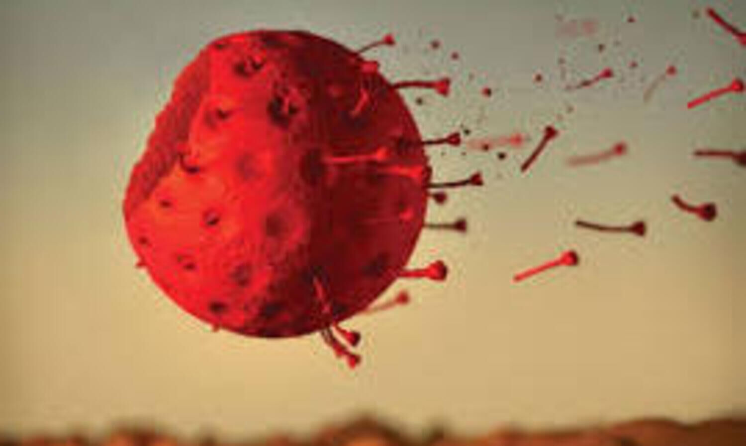 ഒമാനിൽ കോവിഡ്​  രോഗ മുക്​തി നിരക്ക്​ 93.5 ശതമാനം