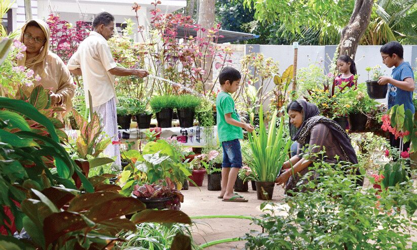 മനസ്സുണ്ടെങ്കിൽ നമുക്കാവശ്യമുള്ള പച്ചക്കറികളെല്ലാം സ്വയം കൃഷിചെയ്തെടുക്കാം മനസ്സുണ്ടെങ്കിൽ നമുക്കാവശ്യമുള്ള പച്ചക്കറികളെല്ലാം സ്വയം കൃഷിചെയ്തെടുക്കാം