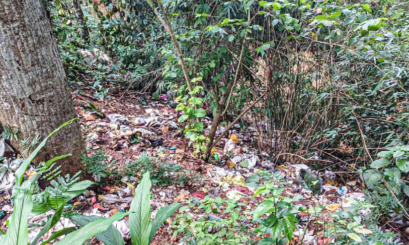 വണ്ടൻ പതാൽ കടക്കാൻ മൂക്ക് പൊത്തിയേ പറ്റൂ വണ്ടൻ പതാൽ കടക്കാൻ മൂക്ക് പൊത്തിയേ പറ്റൂ