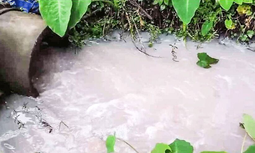 ജലാശയത്തിൽ മാലിന്യം തളളി; പ്ലൈവുഡ് കമ്പനിക്ക് 25,000 രൂപ പിഴ ജലാശയത്തിൽ മാലിന്യം തളളി; പ്ലൈവുഡ് കമ്പനിക്ക് 25,000 രൂപ പിഴ