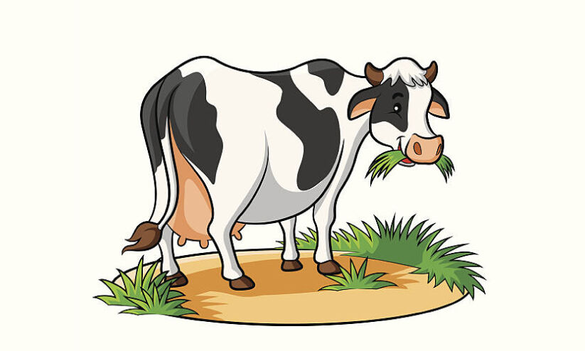 സബ്സിഡി വാഗ്ദാനത്തിലൊതുങ്ങി; യുവ ക്ഷീര കർഷകർ പ്രതിസന്ധിയിൽ സബ്സിഡി വാഗ്ദാനത്തിലൊതുങ്ങി; യുവ ക്ഷീര കർഷകർ പ്രതിസന്ധിയിൽ