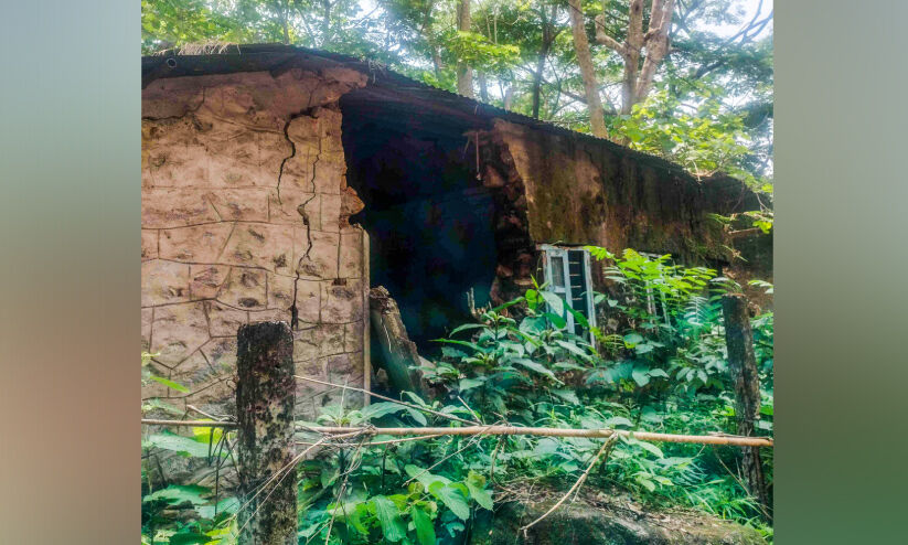 സംരക്ഷിക്കൻ ആളില്ലാതെ സർക്കാർ ക്വാർട്ടേഴ്സുകൾ; ലക്ഷങ്ങൾ ചെലവഴിച്ച് നിർമിച്ച കെട്ടിടങ്ങൾ കാടുകയറി നശിക്കുന്നു സംരക്ഷിക്കൻ ആളില്ലാതെ സർക്കാർ ക്വാർട്ടേഴ്സുകൾ; ലക്ഷങ്ങൾ ചെലവഴിച്ച് നിർമിച്ച കെട്ടിടങ്ങൾ കാടുകയറി നശിക്കുന്നു