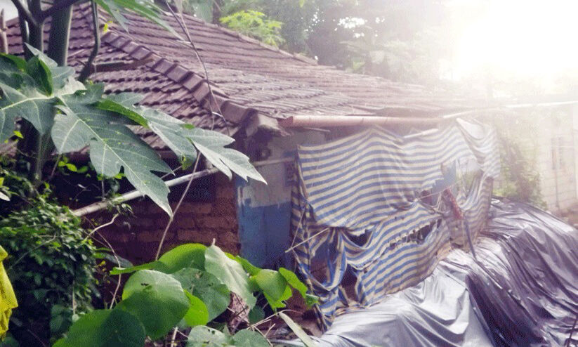 ഭൂരേഖകളില്ല: കോളനികളിലെ ജീവിതം ദുരിതമയം